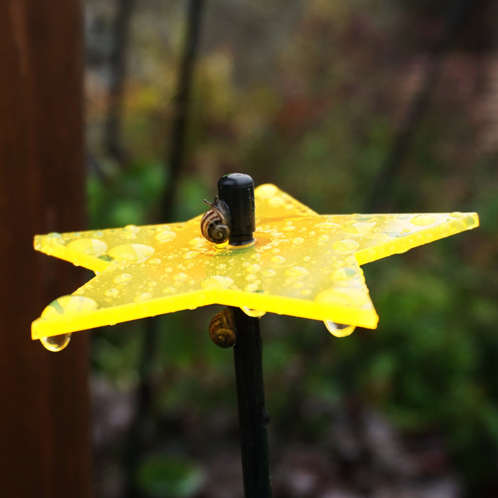 Garden Décor Ornaments Set of 5 'Shining Stars'